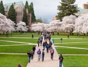 Best Universities in America to Master Your Future